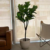 Planta Artificial Decorativa Arbol Grande Ficus Lyrata 180c 4