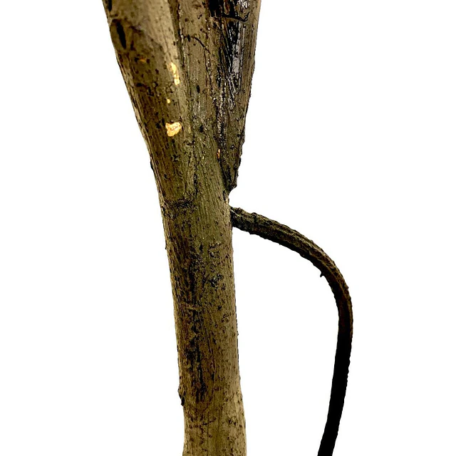 Planta Artificial Decorativa Arbol Grande Ficus Lyrata 180c 6