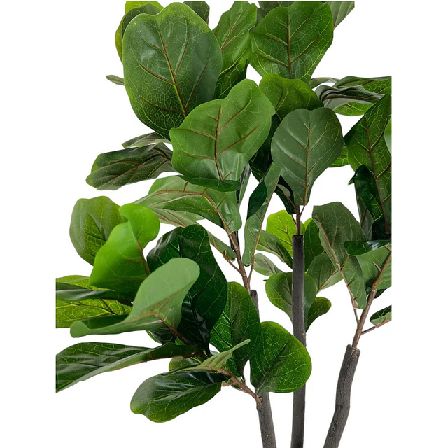 Planta Artificial Decorativa Arbol Grande Ficus Lyrata 180c 7