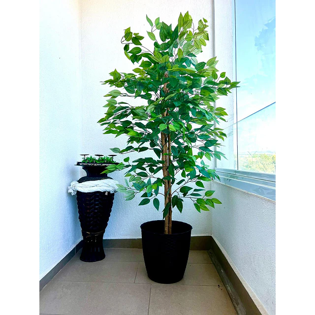 Planta Artificial Decorativa Arbol Grande Pack Ficus 160cm 4