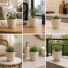 Macetero Redondo Beige 14 cm Plastico Interior Escritorio 1