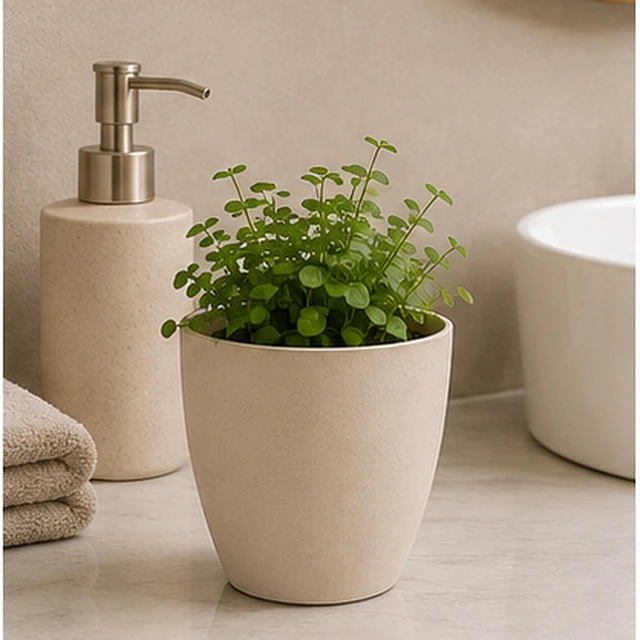 Macetero Redondo Beige 14 cm Plastico Interior Escritorio 4