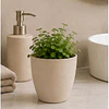 Macetero Redondo Beige 14 cm Plastico Interior Escritorio 4