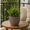 Macetero Redondo Beige 14 cm Plastico Interior Escritorio 14