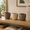 Macetero Redondo Beige 14 cm Plastico Interior Escritorio 15