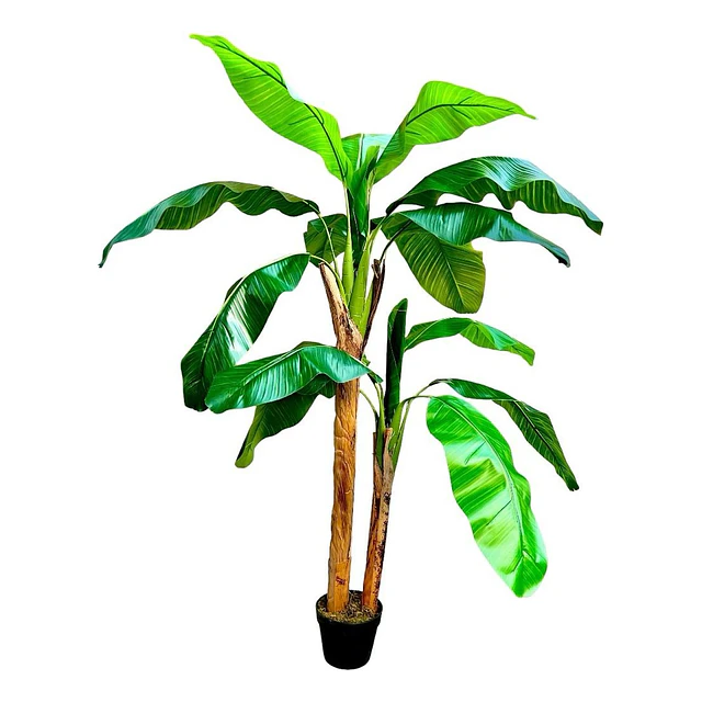 Planta Artificial Decorativa Arbol Grande Banano 160cm 15hj 4