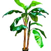 Planta Artificial Decorativa Arbol Grande Banano 160cm 15hj 4