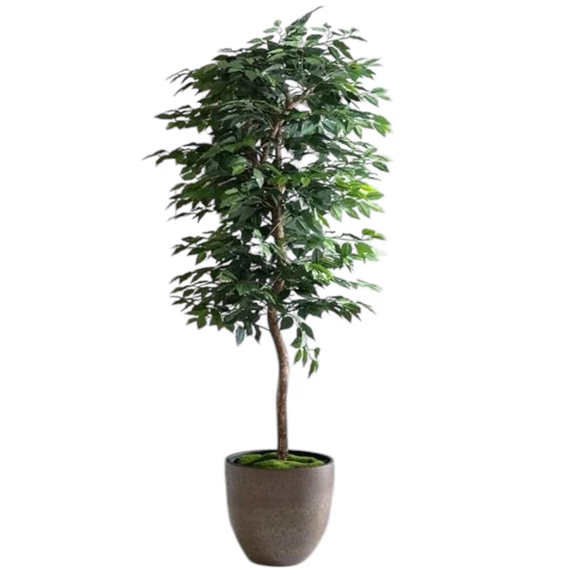 Planta Artificial Decorativa Arbol Grande Ficus 180cm 1260h 9