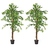 Planta Artificial Decorativa Arbol Grande Pack Ficus 160cm 1