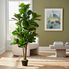 Planta Artificial Decorativa Arbol Grande Ficus Lyrata 150c 1