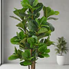 Planta Artificial Decorativa Arbol Grande Ficus Lyrata 150c 3