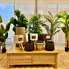 Planta Artificial Decorativa Arbol Grande Ficus Lyrata 150c 9
