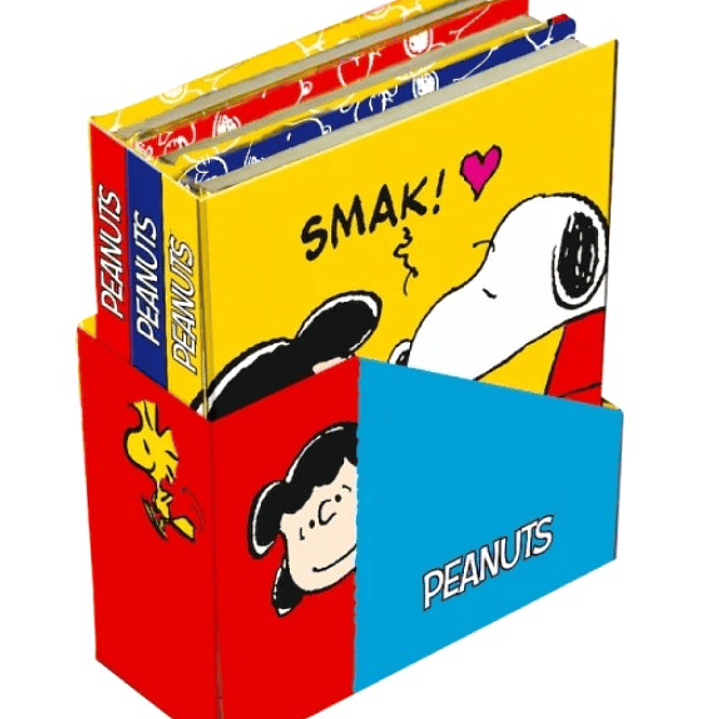 Set Mini Libretas Snoopy colores 1