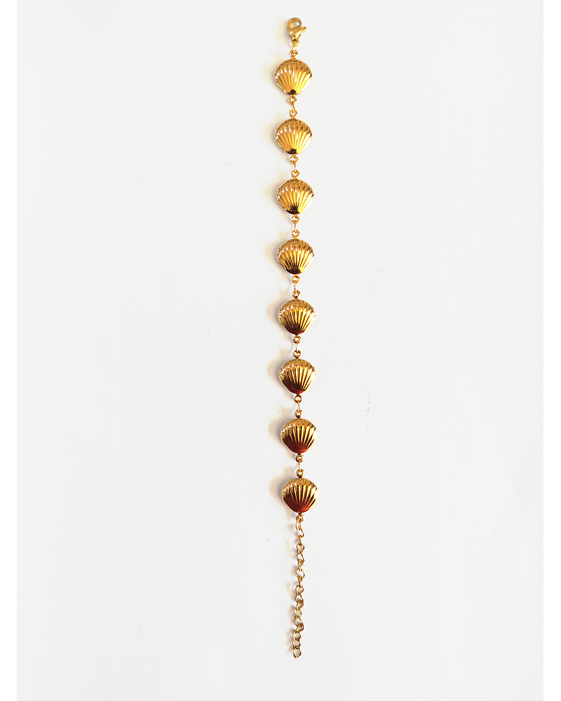 Pulsera conchas de mar 
