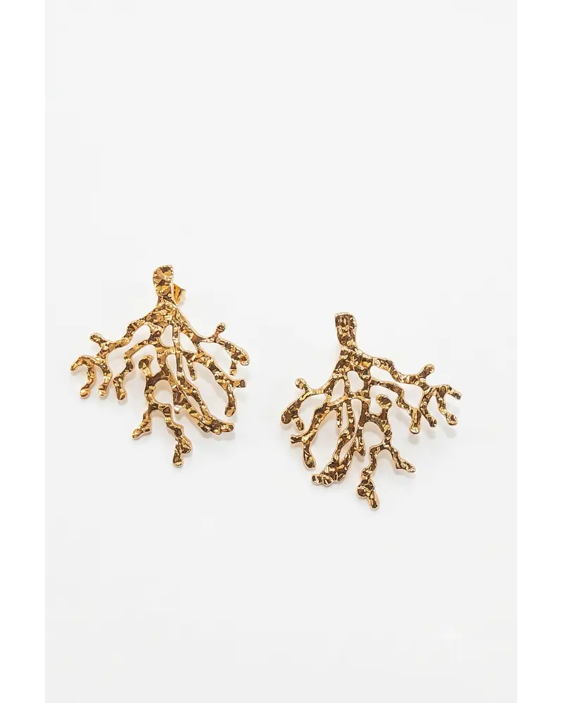 Aros de acero dorado  