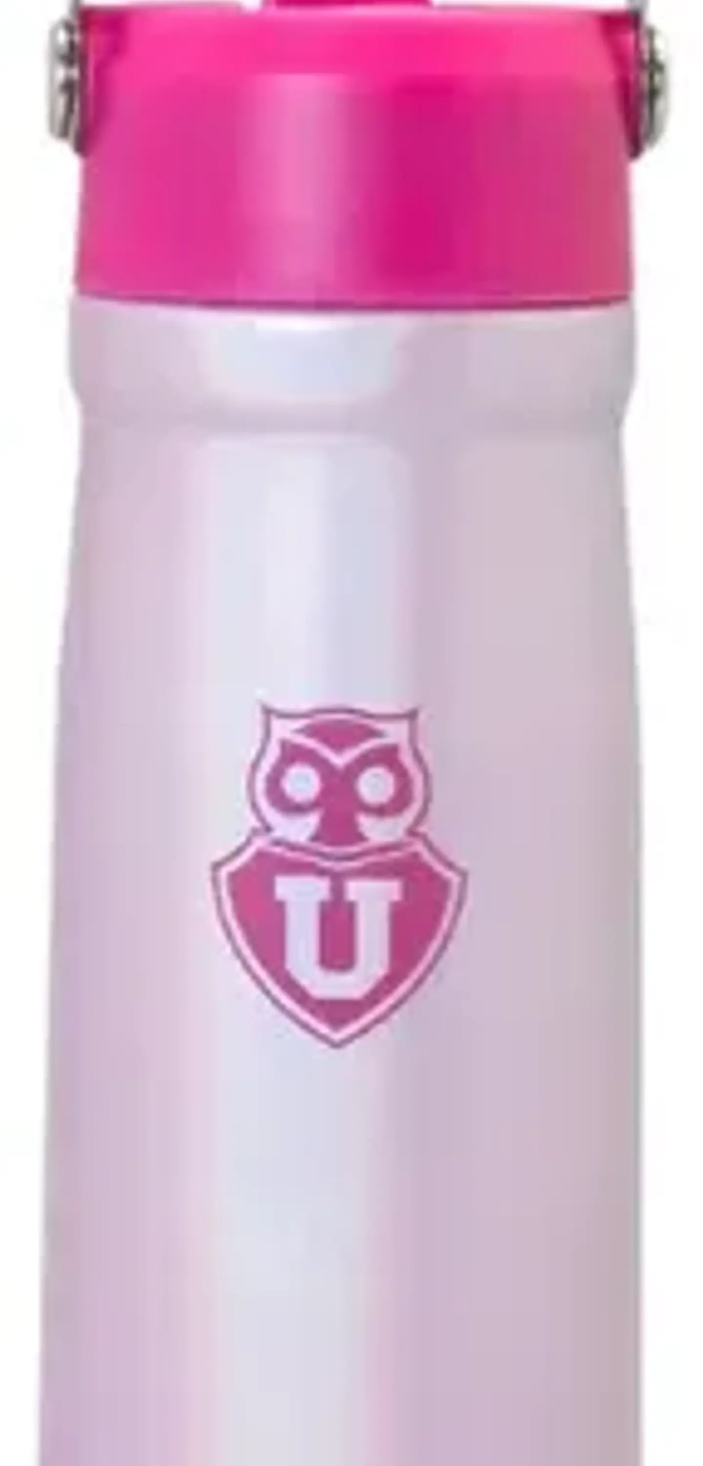 Botella Mango 650ml Pink U De Chile Rosa 1