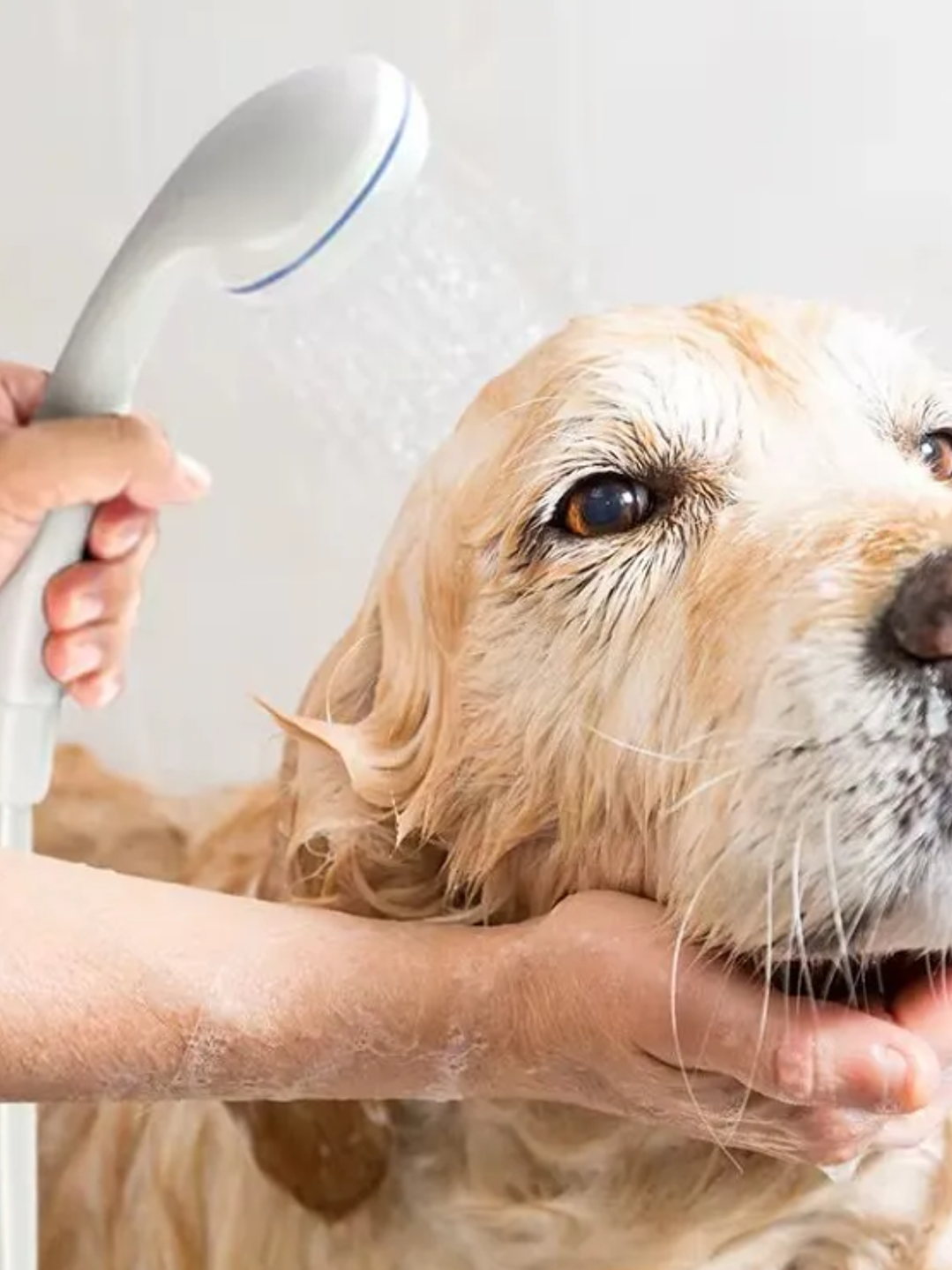 DUCHA PORTÁTIL RECARGABLE CAMPING 5