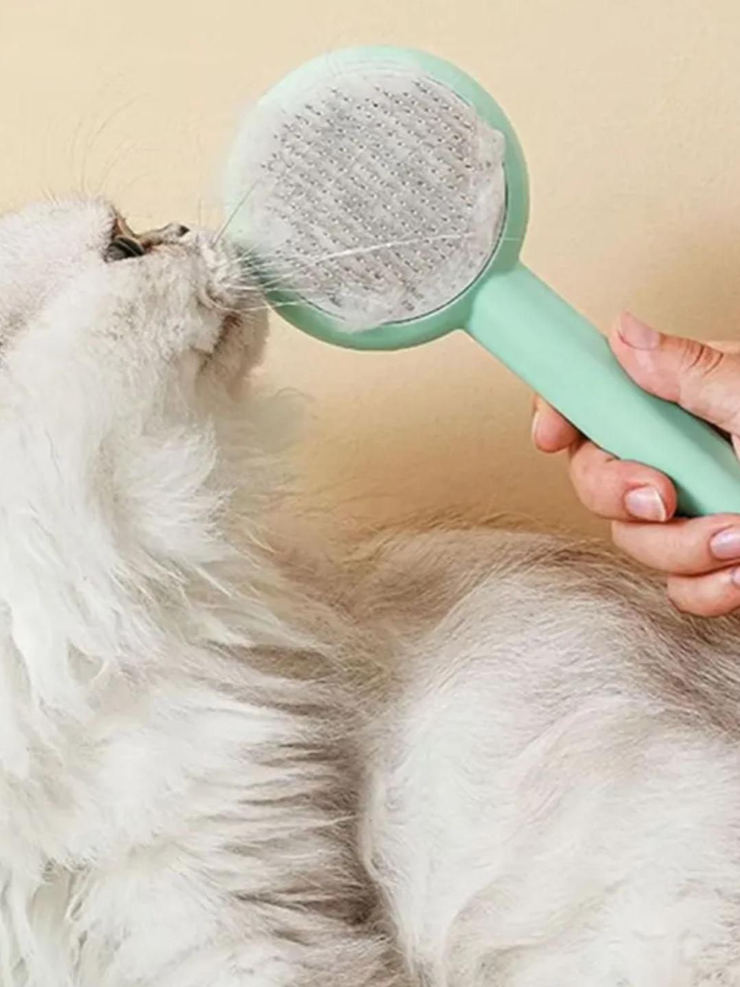 CEPILLO QUITA NUDOS PARA GATOS 3