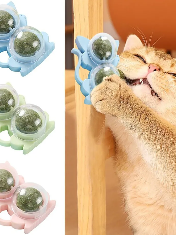 JUGUETES PARA MASCOTAS PELOTA PARA ATRAPAR 3