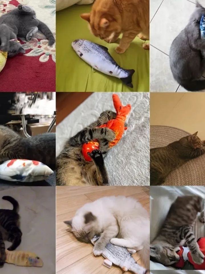 JUGUETE PARA GATOS RECARGABLE CON MOVIMIENTO PEZ GRANDE 6