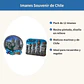 Pack 12 Imanes Souvenir Chile Resina Relieve Motivo Marino - Miniatura 2