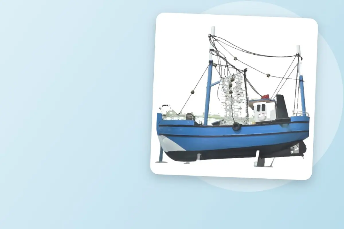 Barcos y Veleros