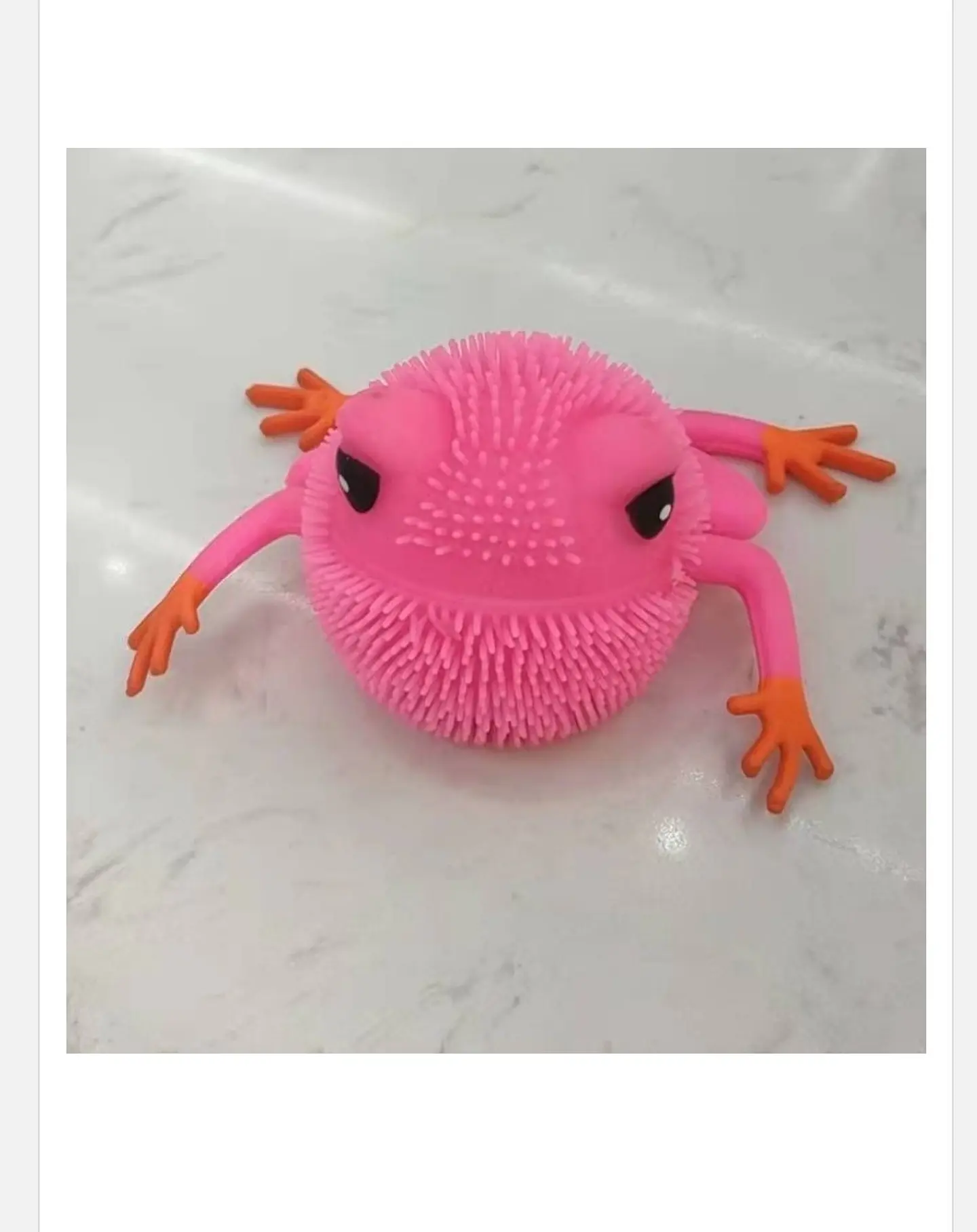 SQUISHY SAPO PAQUETE 24 PCS (A02331) 1