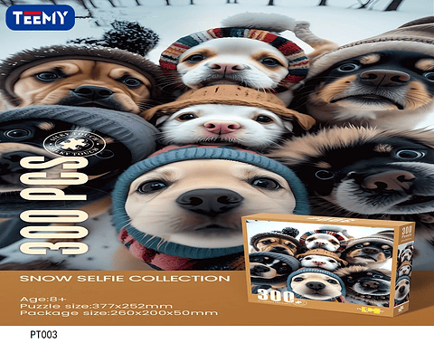 PUZZLE  300 PIEZAS, 3 DEL MISMO POR MAYOR  (PT003)