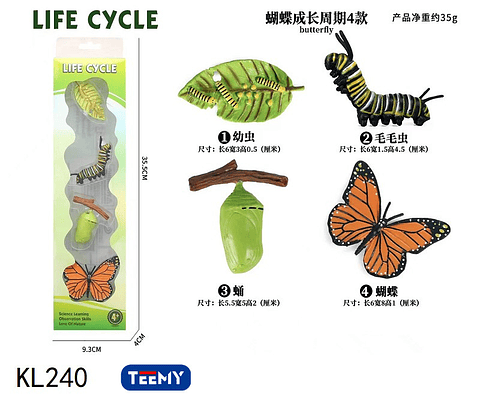 CICLO DE VIDA MARIPOSA  ,PRECIO PUBLICADO ES AL POR MAYOR Y DEBEN SER 3 UNIDADES DEL MISMO  (KL240)