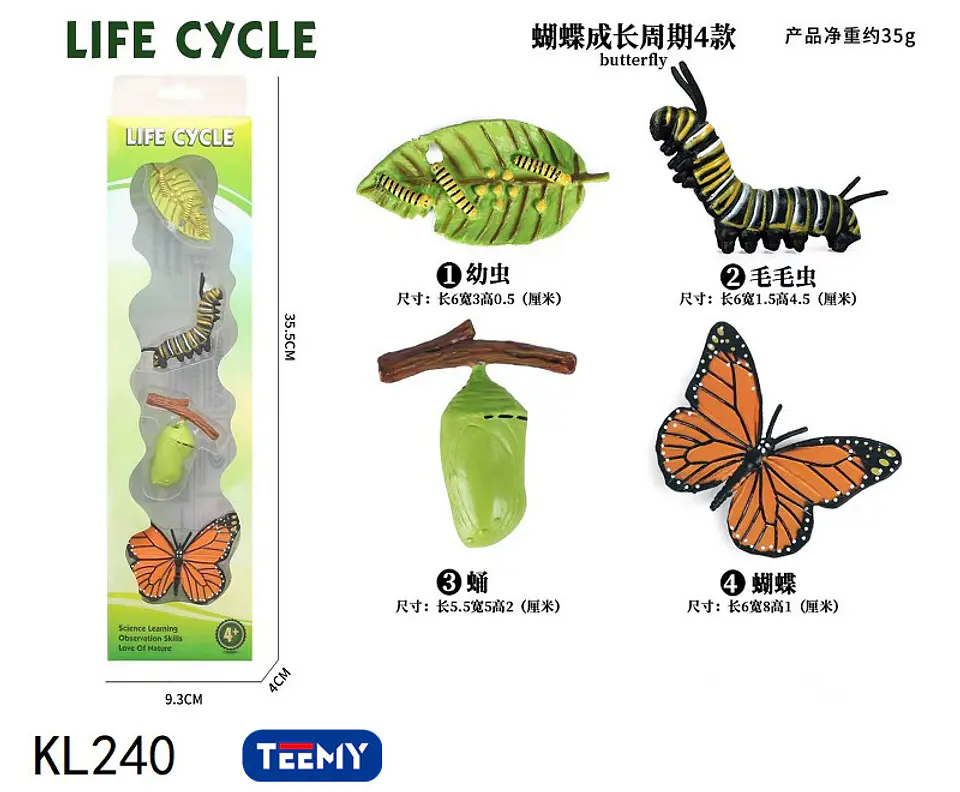 CICLO DE VIDA MARIPOSA  ,3 DEL MISMO POR MAYOR  (KL240) 1