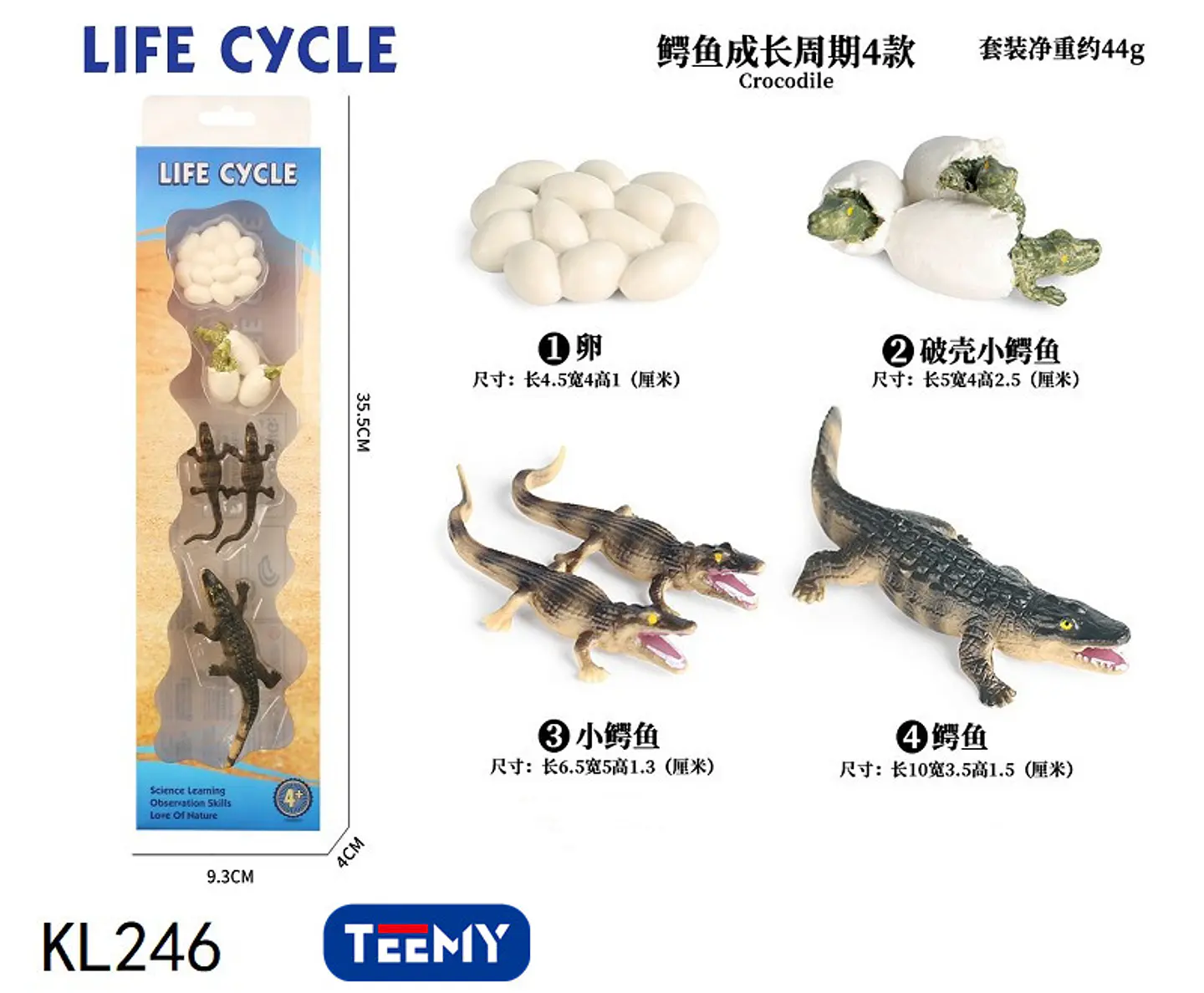 CICLO DE VIDA COCODRILO  ,3 DEL MISMO POR MAYOR  (KL246) 1