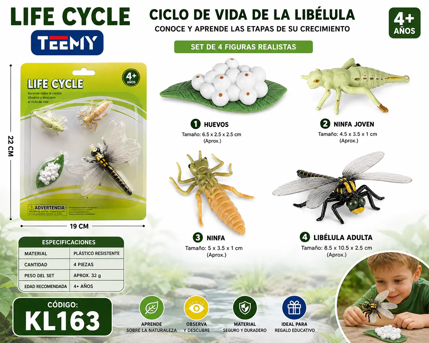CICLO DE VIDA LIBELULA, 3 DEL MISMO POR MAYOR  (KL163) 1