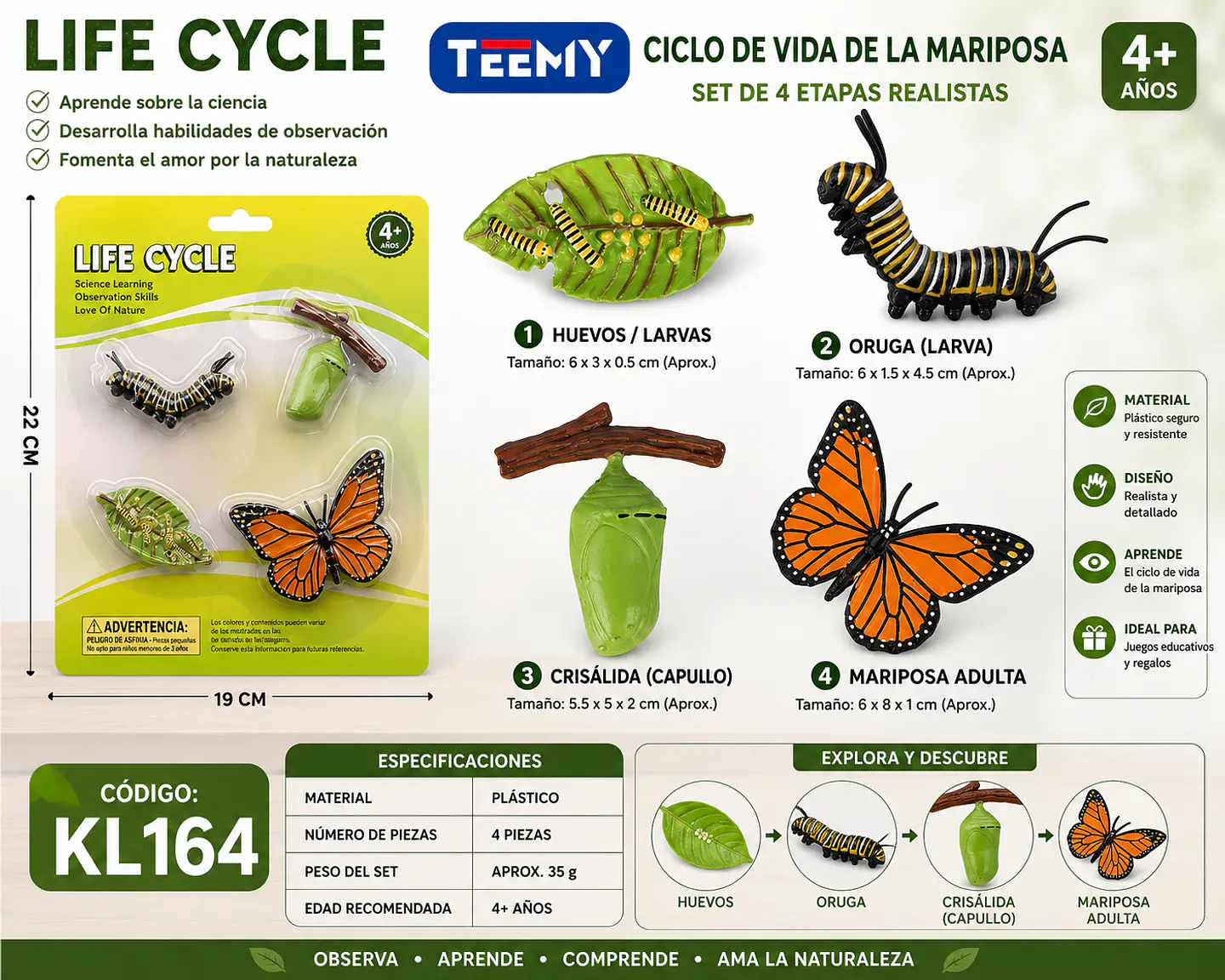 CICLO DE VIDA MARIPOSA, 3 DEL MISMO POR MAYOR  (KL164) 1