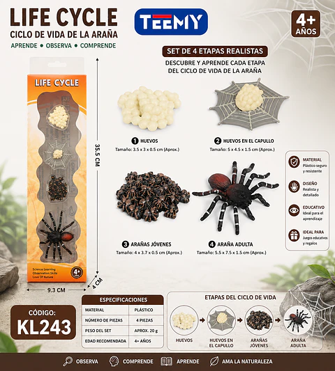 CICLO DE VIDA ARAÑA, 3 DEL MISMO POR MAYOR  (KL243)
