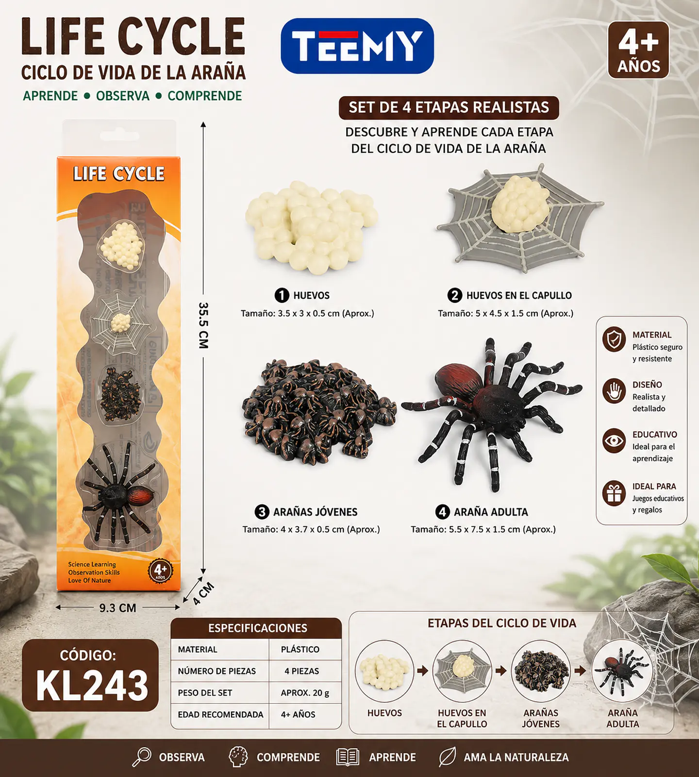 CICLO DE VIDA ARAÑA, 3 DEL MISMO POR MAYOR  (KL243) 1