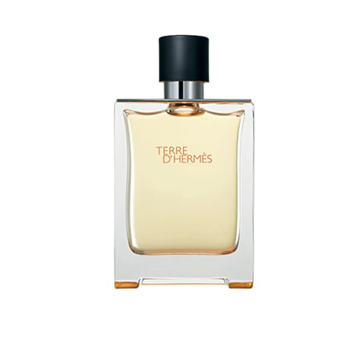 【今日限定】HERMÈS TERRE D'HERMÈS 200ml パルファム Hermés Terre d'Hermes EDP 200ml