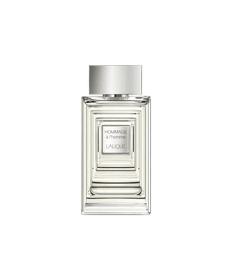 Lalique Hommage a L´Homme EDT 100 ml