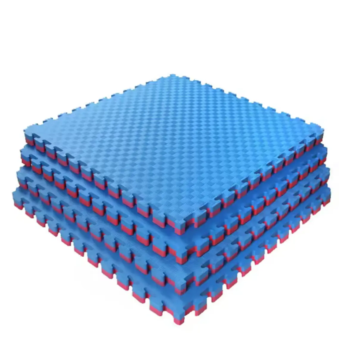 TATAMI 1X1X2.5CM  BICOLOR (ROJO/AZUL) (Precio + IVA) 3