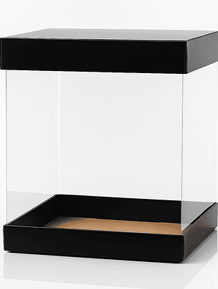 Caja expositora transparente 29x20 cm – Ideal para peluches y regalos