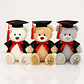 Osito de Graduación 23 cm – Peluche con Toga y Birrete - Miniatura 1
