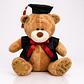 Osito de Graduación 23 cm – Peluche con Toga y Birrete - Miniatura 2