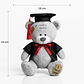 Osito de Graduación 23 cm – Peluche con Toga y Birrete - Miniatura 4
