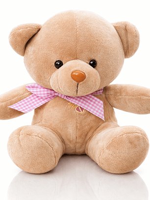 Ositos de Peluche 20 cm – Disponibles en 5 Colores