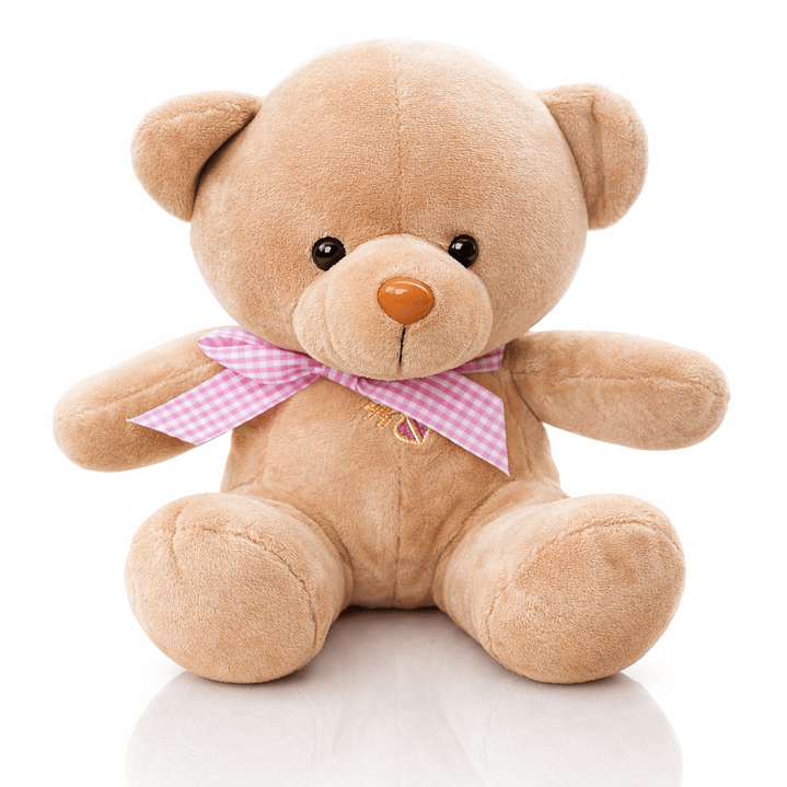 Ositos de Peluche 20 cm – Disponibles en 5 Colores 1