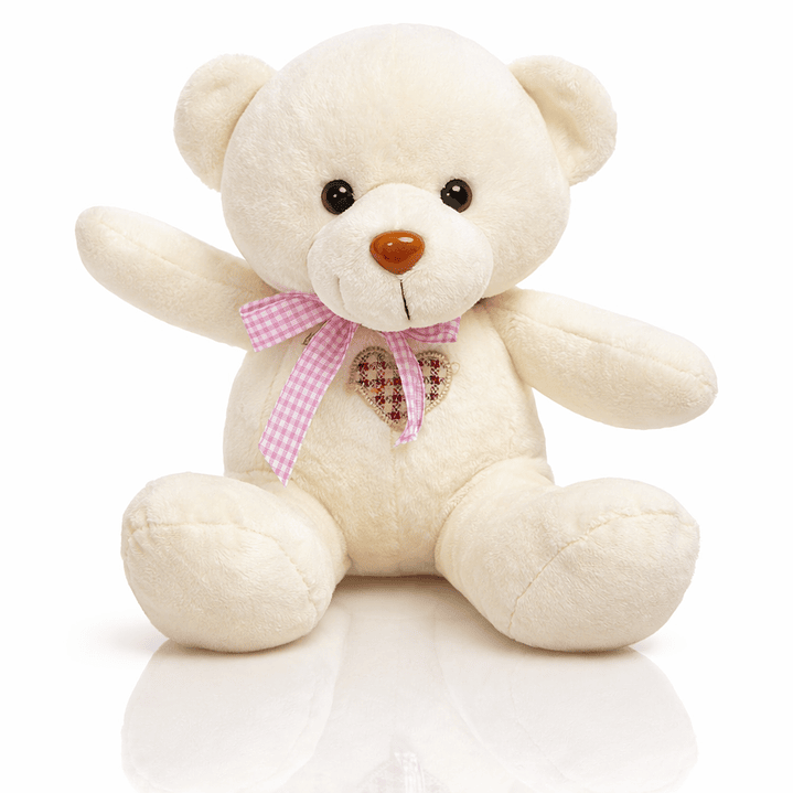 Ositos de Peluche 20 cm – Disponibles en 5 Colores 4