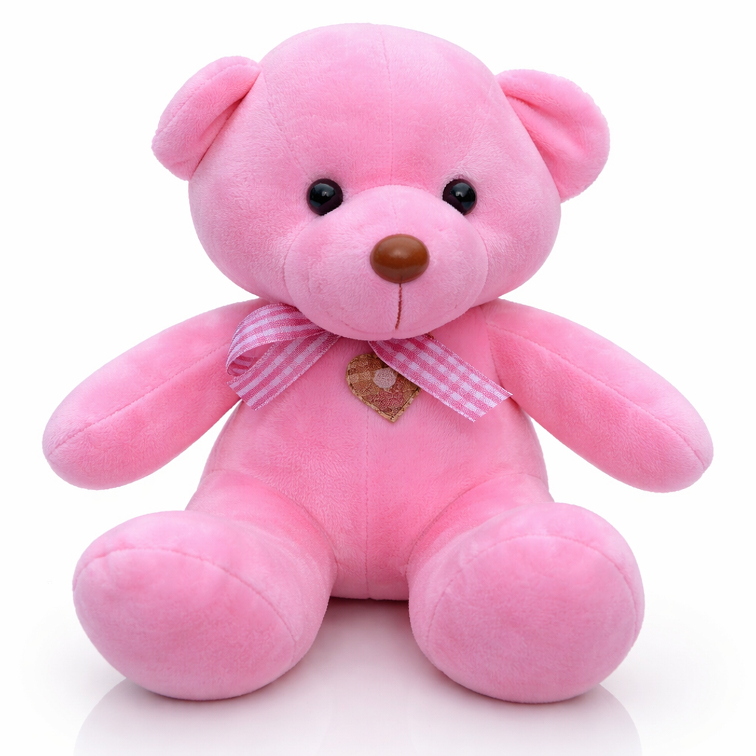 Ositos de Peluche 20 cm – Disponibles en 5 Colores 5