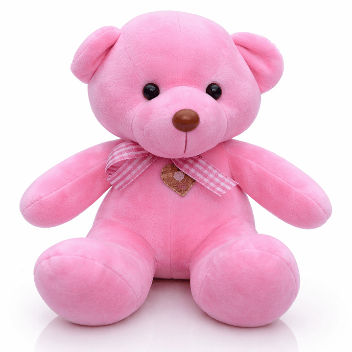 Ositos de Peluche 20 cm – Disponibles en 5 Colores 5