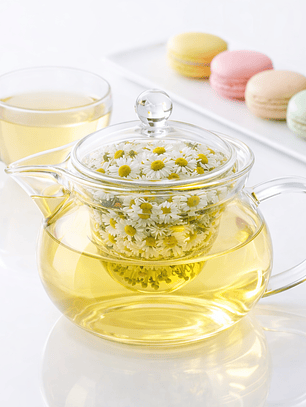 Tetera de Vidrio con Infusor de Borosilicato – Ideal para Té e Infusiones