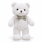 Osito de Peluche Premium 30 cm – Suave, Elegante y Perfecto para Regalo - Miniatura 3