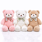 Osito de Peluche Premium 30 cm – Suave, Elegante y Perfecto para Regalo - Miniatura 5